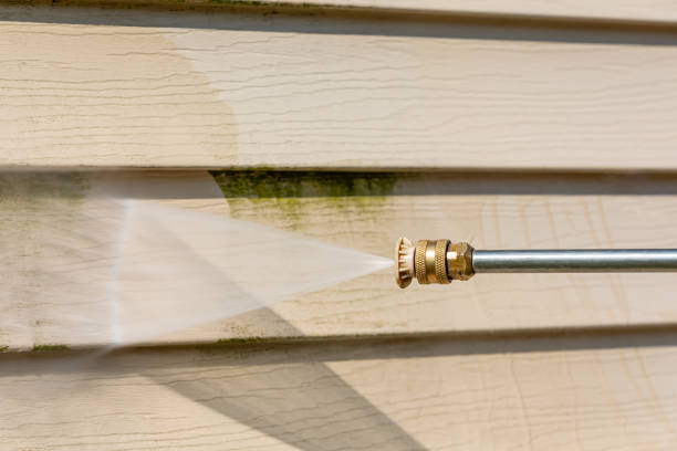 Best Local Pressure Washing Services  in Canton, GA
